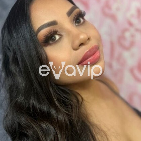 3 - Maialina Dea De Piacere