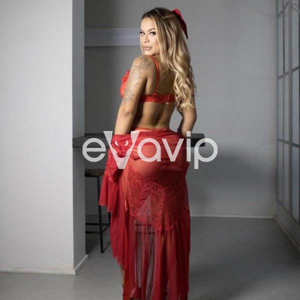 1 - AyarlaBrasiliana