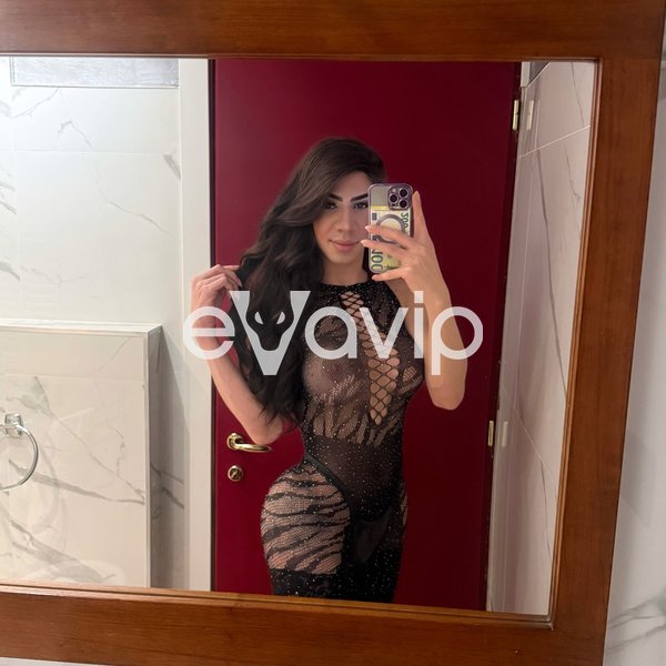 17 - SophieTrans