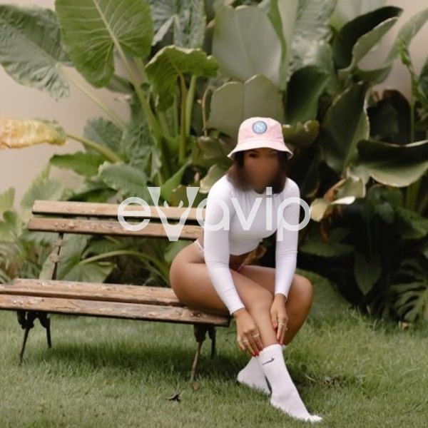 3 - SophiaBrasiliana