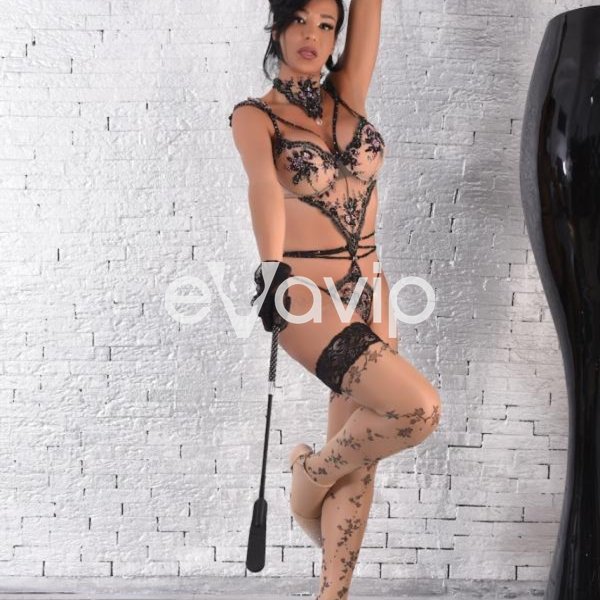 1 - VickyVenereTrans