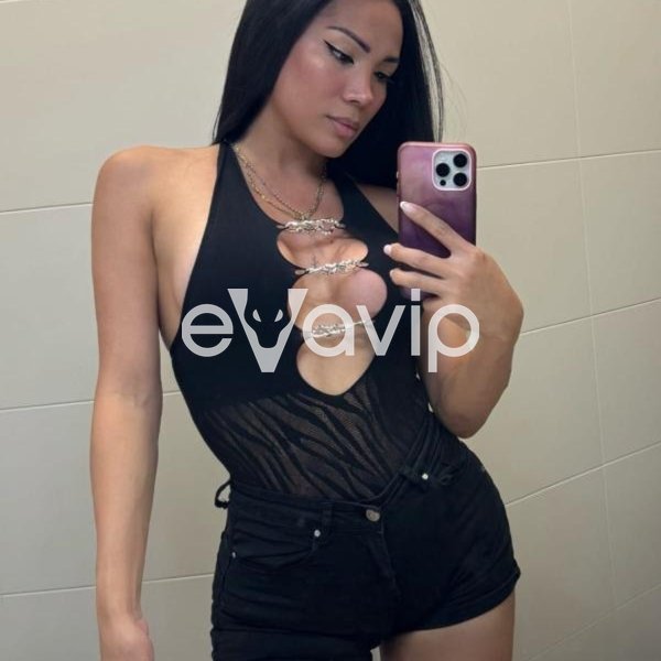 8 - AndreaFox