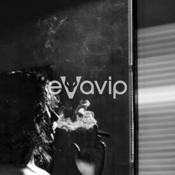 36 - Canela Peruviana Inca