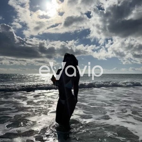 21 - Canela Peruviana Inca